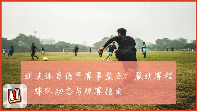 新浪体育德甲赛事盘点：最新赛程、球队动态与观赛指南
