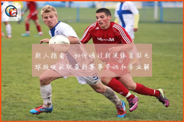 新人指南：如何通过新浪体育羽毛球版块获取最新赛事资讯和专业解读