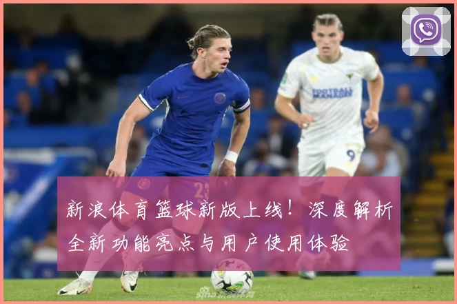 新浪体育篮球新版上线!深度解析全新功能亮点与用户使用体验