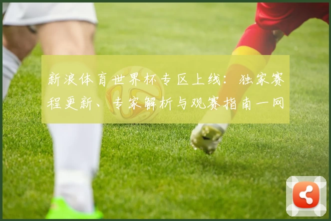 新浪体育世界杯专区上线：独家赛程更新、专家解析与观赛指南一网打尽