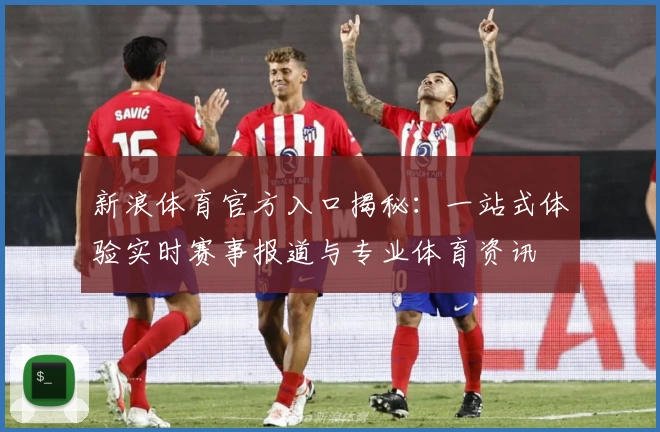 新浪体育官方入口揭秘：一站式体验实时赛事报道与专业体育资讯