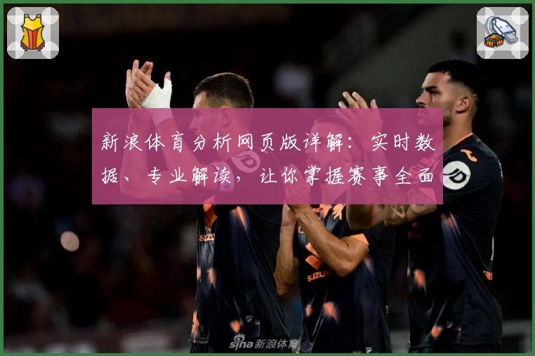 新浪体育分析网页版详解：实时数据、专业解读，让你掌握赛事全面动态
