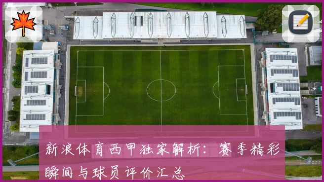 新浪体育西甲独家解析：赛季精彩瞬间与球员评价汇总