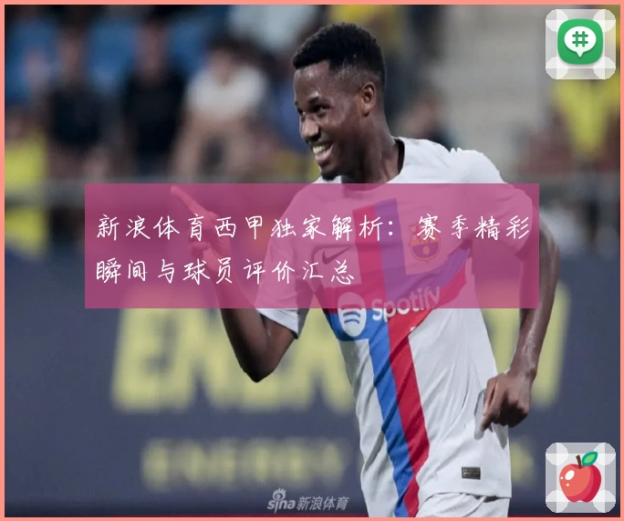 新浪体育西甲独家解析：赛季精彩瞬间与球员评价汇总