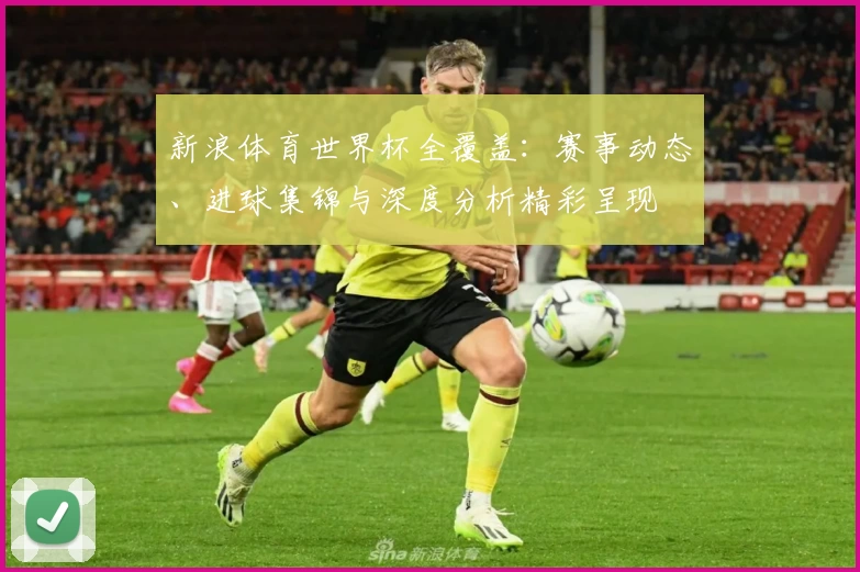 新浪体育世界杯全覆盖：赛事动态、进球集锦与深度分析精彩呈现