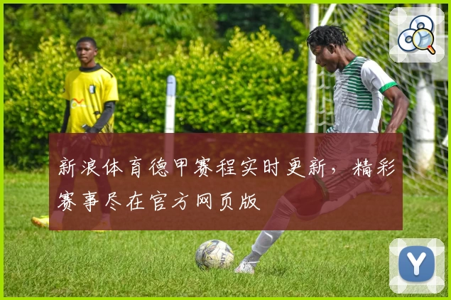 新浪体育德甲赛程实时更新，精彩赛事尽在官方网页版