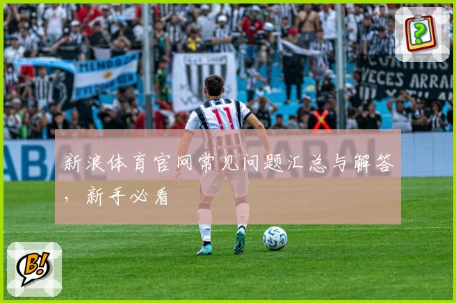 新浪体育官网常见问题汇总与解答，新手必看