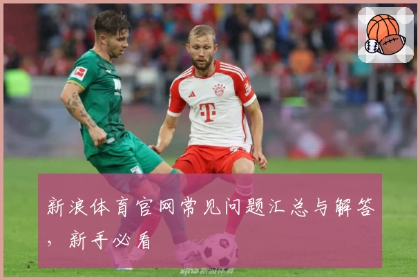 新浪体育官网常见问题汇总与解答，新手必看