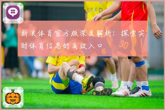 新浪体育官方版深度解析：探索实时体育信息的高效入口