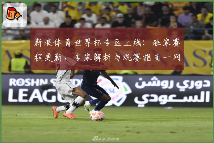 新浪体育世界杯专区上线：独家赛程更新、专家解析与观赛指南一网打尽