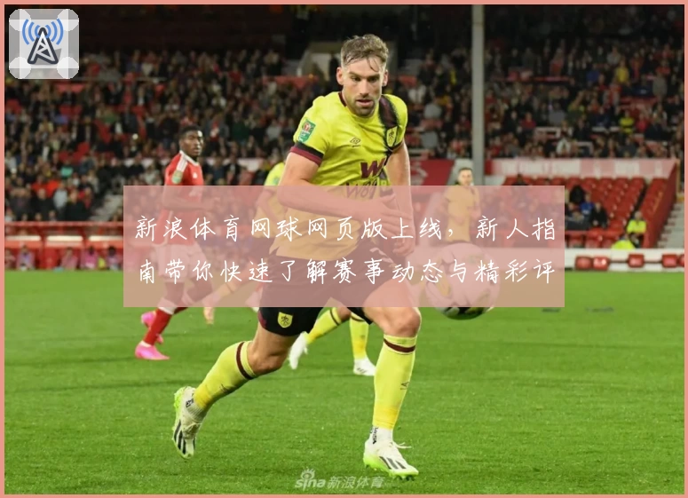 新浪体育网球网页版上线，新人指南带你快速了解赛事动态与精彩评论