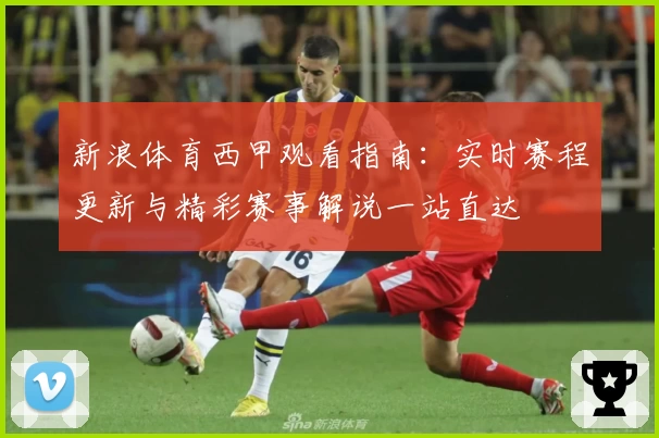 新浪体育西甲观看指南：实时赛程更新与精彩赛事解说一站直达