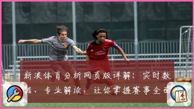 新浪体育分析网页版详解：实时数据、专业解读，让你掌握赛事全面动态