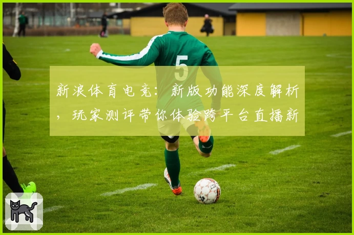 新浪体育电竞：新版功能深度解析，玩家测评带你体验跨平台直播新精彩