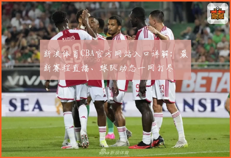 新浪体育CBA官方网站入口详解：最新赛程直播、球队动态一网打尽